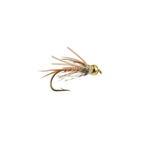 Poor Copper Nymph