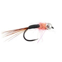 Rose Ribber