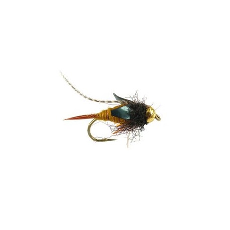 Thurmans Zaddis Amber