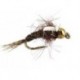 White Case Nymph