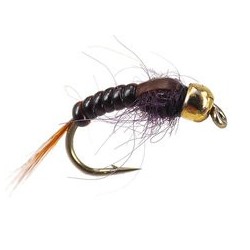 Ales Brown Body Glas