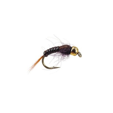 Ales Brown Body Glas