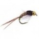 Ales Green Tailed Friend