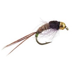 Ales Green Tailed Friend