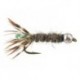 Ales Grey Peeping Caddis