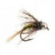 Ales Olive Allstars Nymph