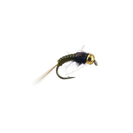 Ales Olive Body Glas