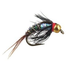 Ales Rainbow Pheasant