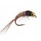Ales Red Tailed Friend