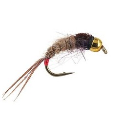 Ales Red Tailed Friend