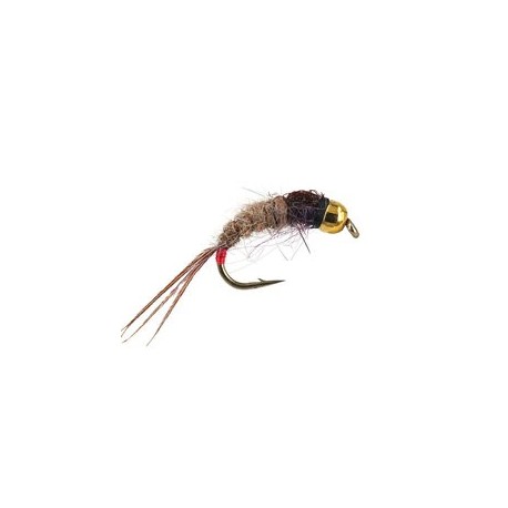 Ales Red Tailed Friend