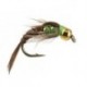 Ales Verdina Pheasant