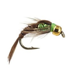 Ales Verdina Pheasant