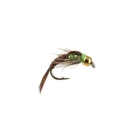 Ales Verdina Pheasant