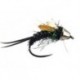 Ales Black Jungle Cock Stonefly
