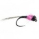 Armandos Rainbow Catcher