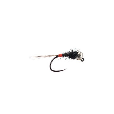 Armandos Blacky Orange Butt