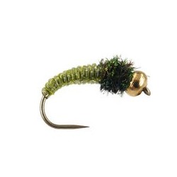 Caddis Larva Olive