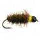 Classic Peeping Caddis