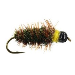 Classic Peeping Caddis