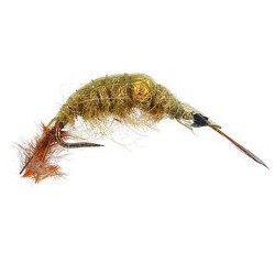 Classic Gammarus Olive Bead
