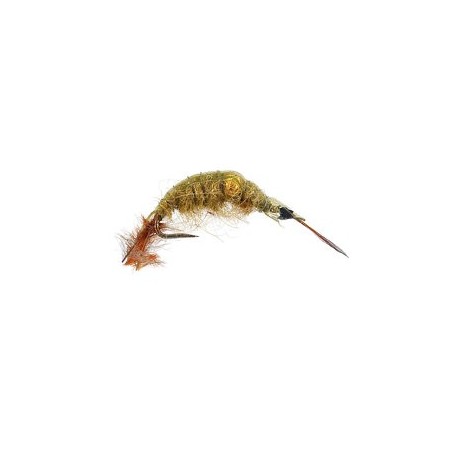 Classic Gammarus Olive Bead