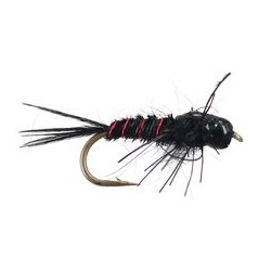 Hills Nympho Maniac Black