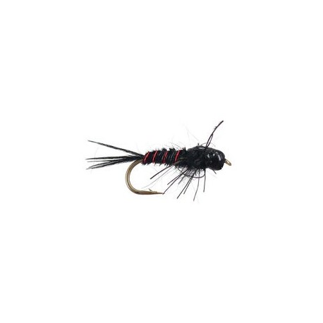 Hills Nympho Maniac Black