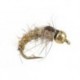 Gold Ribbed Hares Ear
