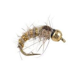 Gold Ribbed Hares Ear