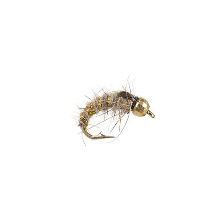 Gold Ribbed Hares Ear