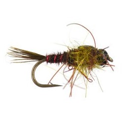 Hills Nympho Maniac Olive