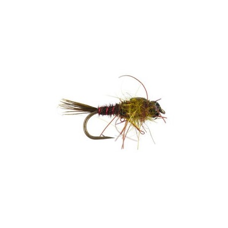 Hills Nympho Maniac Olive