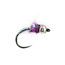 Hermanns Purple Pearl Predator