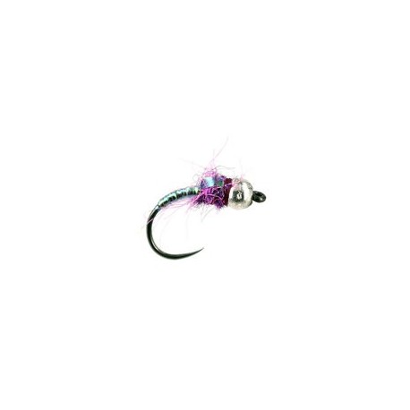 Hermanns Purple Pearl Predator