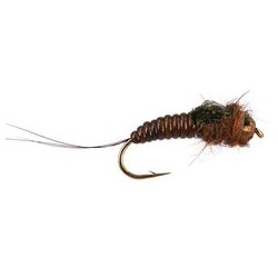 Ivans Body Glass Brown
