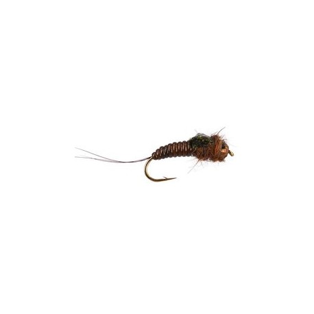 Ivans Body Glass Brown