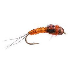 Ivans Body Glass Orange