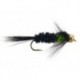 Montana Green