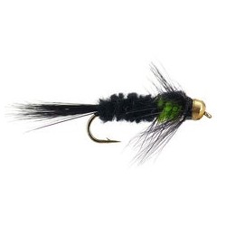 Montana Green