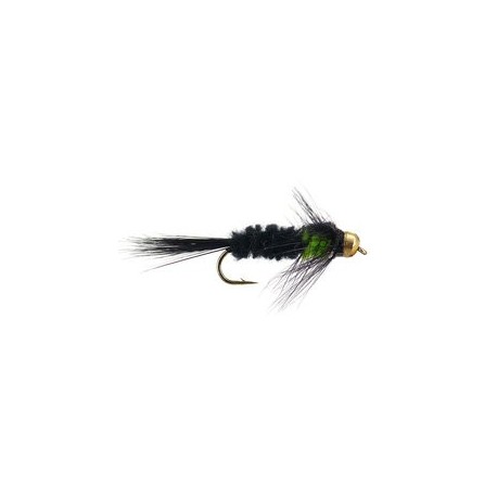 Montana Green
