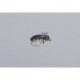 Nicks Tung Action Beetle