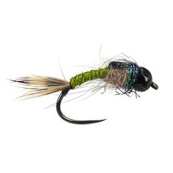Olive Dark Nymph