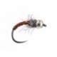 Peacock Copper Nymph