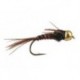 Peacock Pheasant Tail