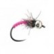 Peacock Pink Copper Nymph