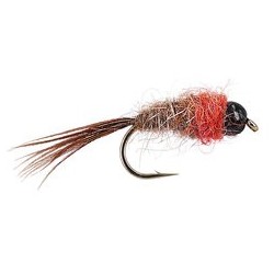 Red Rose Nymph