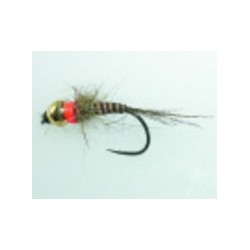 Tungsten 26