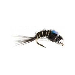 Tungsten 36