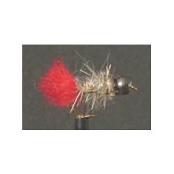 Tungsten 43